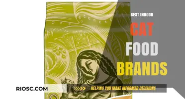Top-Rated Indoor Cat Food Brands for Optimal Feline Health