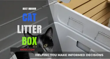 Top Picks for the Best Indoor Cat Litter Box: Comfort, Cleanliness, and Convenience