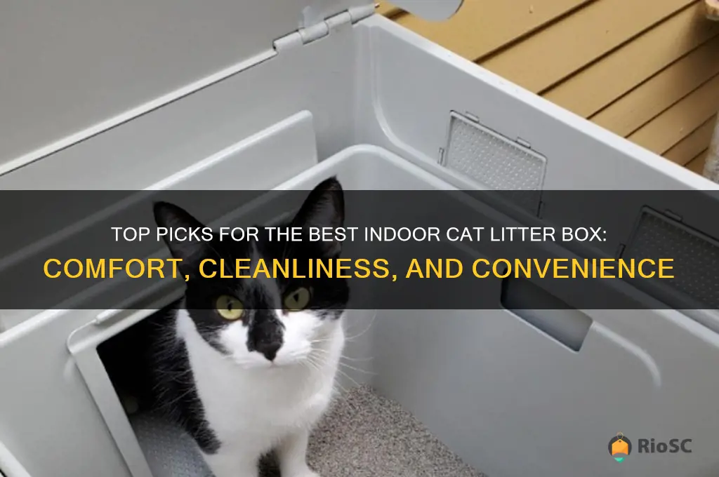 best indoor cat litter box