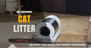 Affordable Purr-fection: Top Budget-Friendly Cat Litter Options for Happy Cats and Wallets