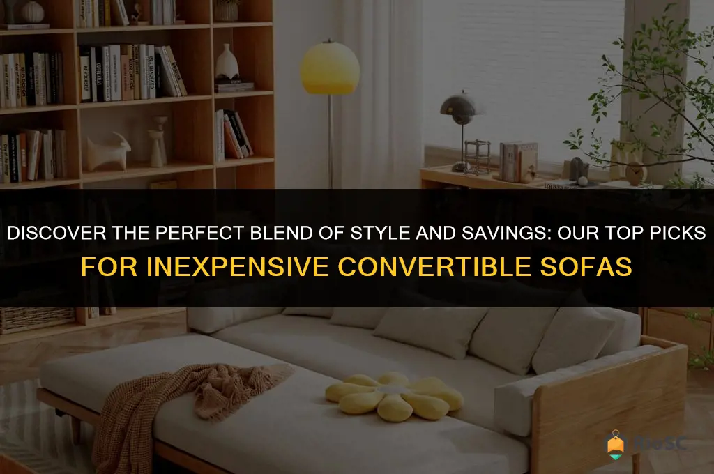 best inexpensive convertible sofa