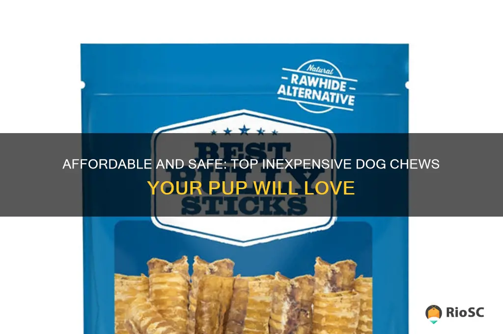 best inexpensive dog chews