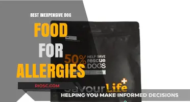 Affordable Allergy-Friendly Dog Food: Top Picks for Sensitive Stomachs