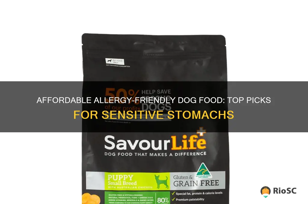 best inexpensive dog food for allergies