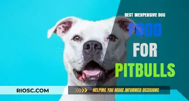 Affordable Nutrition: Top Inexpensive Dog Food Options for Healthy Pitbulls