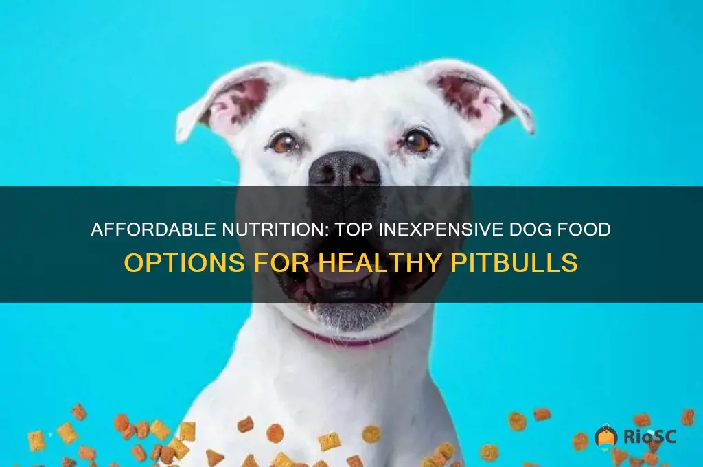 best inexpensive dog food for pitbulls