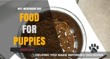 Affordable Nutrition: Top Inexpensive Dog Food Options for Growing Puppies