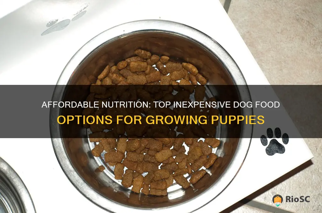 best inexpensive dog food for puppies