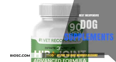 Affordable Canine Wellness: Top Inexpensive Dog Supplements for Optimal Health