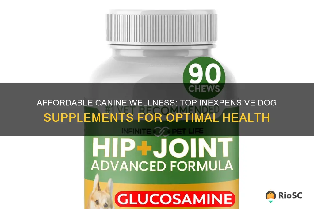 best inexpensive dog supplements