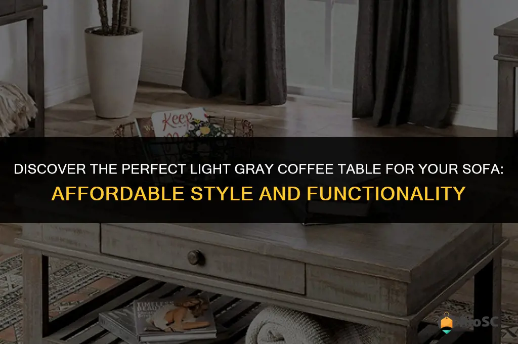 best inexpensive light gray coffee table for sofa