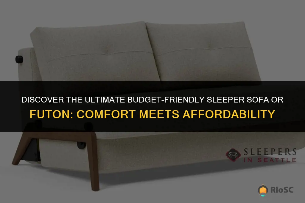 best inexpensive sleeper sofa or futon