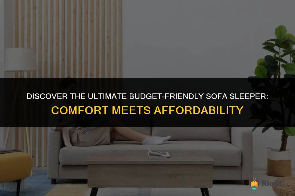best inexpensive sofa sleeper