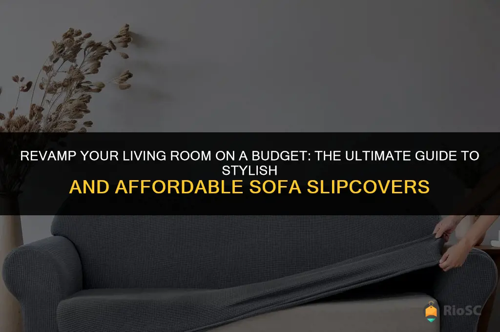 best inexpensive sofa slipcover