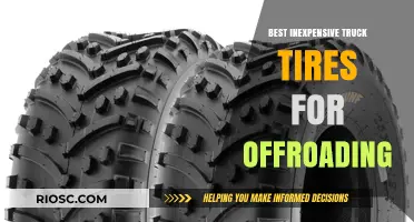 Affordable Off-Road Truck Tires: Top Picks for Budget-Conscious Adventurers