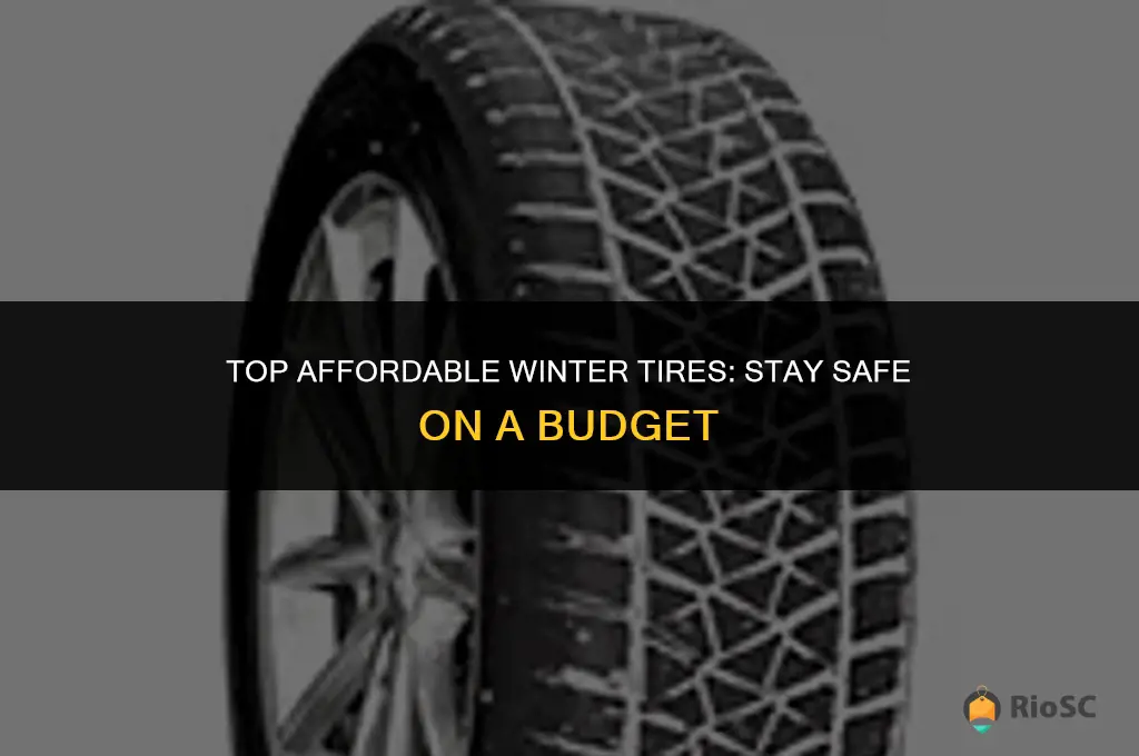 best inexpensive winter tires