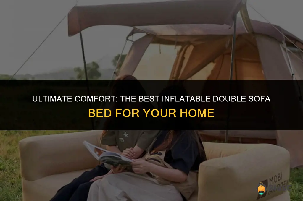 best inflatable double sofa bed