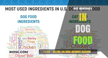 Unleashing Nutrition: Key Ingredients for Optimal Dog Health