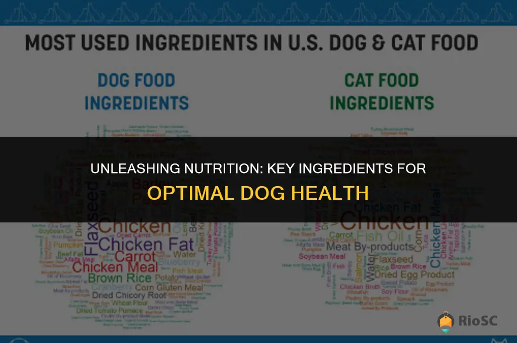 best ingredients in dog food