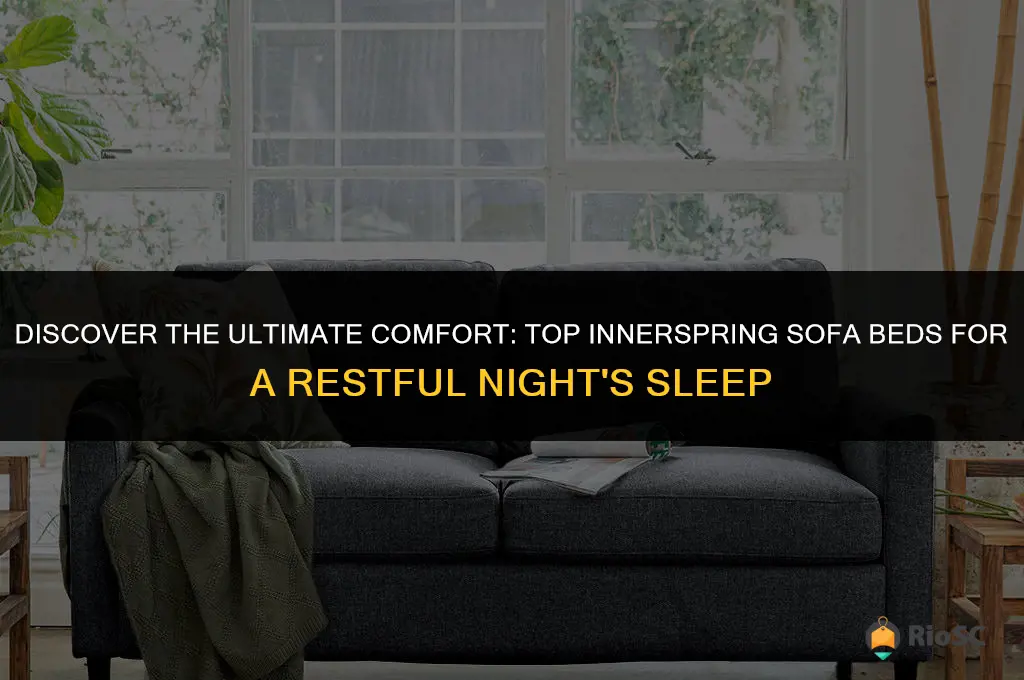 best innerspring sofa bed