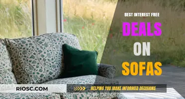 Discover the Ultimate Comfort: Top Interest-Free Sofa Deals for Your Dream Living Room