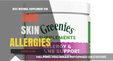 Natural Remedies for Dog Skin Allergies: Top Internal Supplements to Soothe and Heal Your Pet's Skin