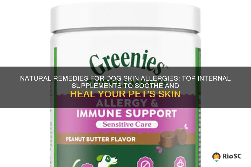 best internal supplement for dog skin allergies