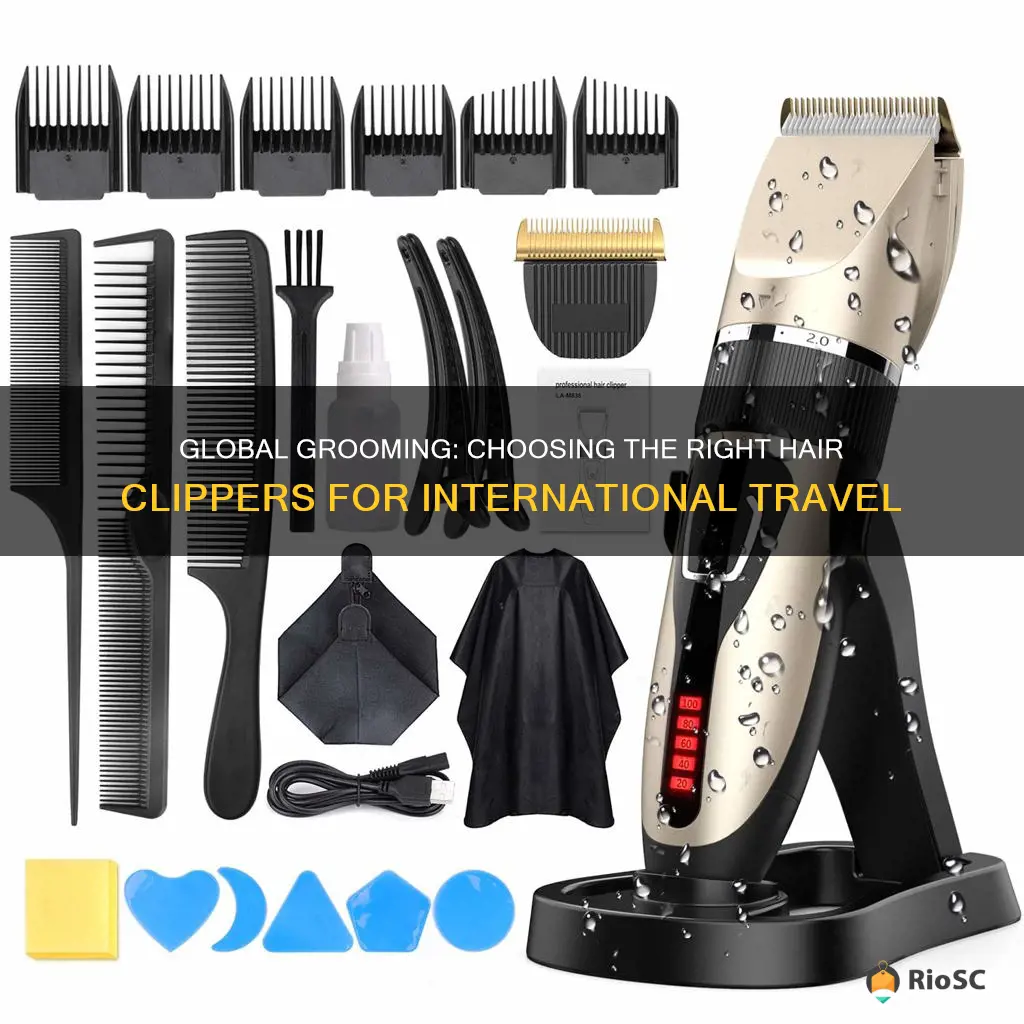 best internationally usable hair clippers