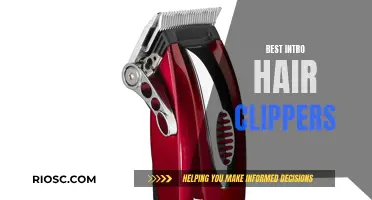 Intro to Hair Clippers: Your DIY Cut Companion