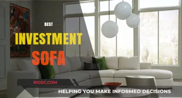 Ultimate Comfort Meets Style: The Top Investment Sofa for Your Living Space