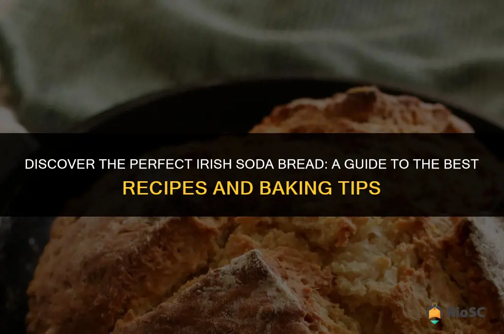 best irish sofa bread