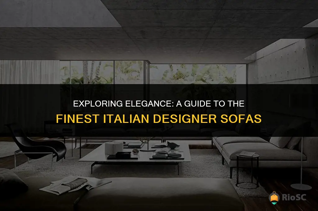 best italian designer sofas