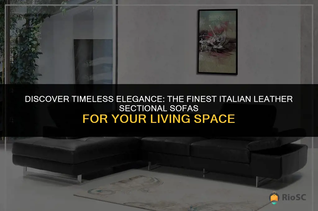 best italian leather sectional sofas