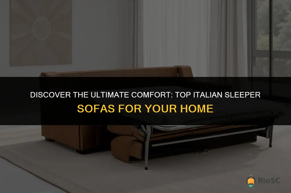 best italian sleeper sofa