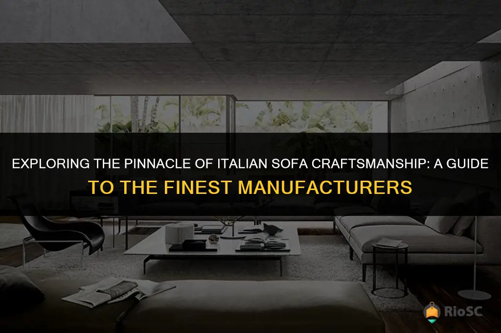 best italian sofa companies