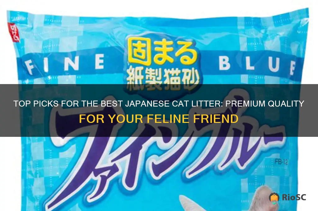 best japanese cat litter