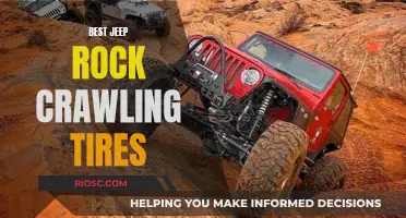 Jeep Enthusiasts' Guide to the Ultimate Rock Crawling Tires