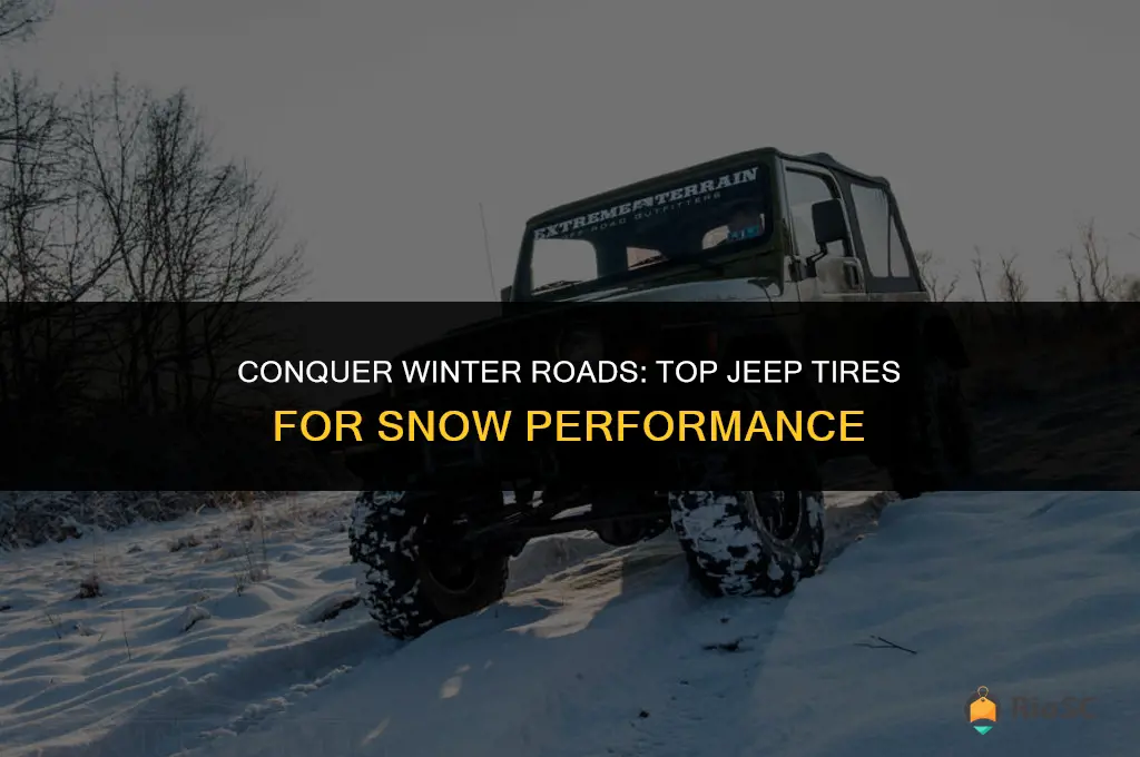 best jeep tires for snow