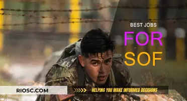 Exploring Career Paths for Sof: A Guide to the Most Promising Opportunities