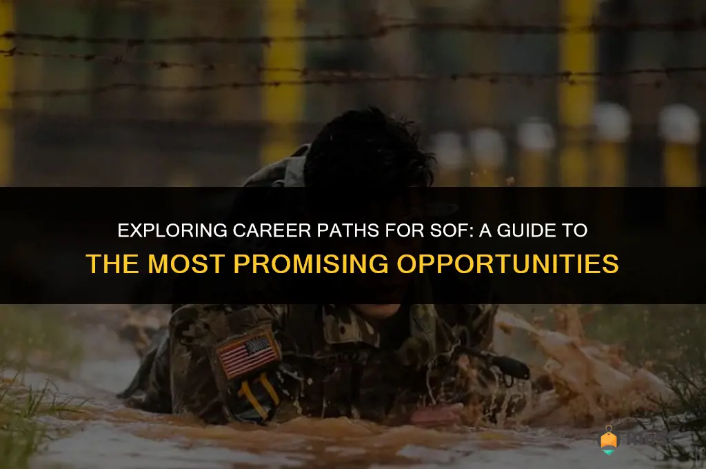 best jobs for sof