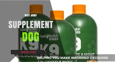 Top Joint Supplements for Dogs: Enhance Mobility and Joint Health for Your Canine Companion