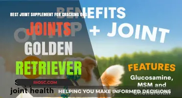 Effective Joint Supplements to Relieve Cracking in Golden Retrievers: Top Picks for Healthy Hips and Joints