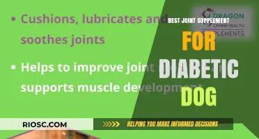 Effective Joint Supplements for Diabetic Dogs: Top Picks for Mobility and Health