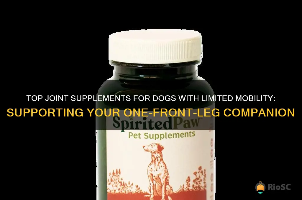 best joint supplement for dog with one front leg