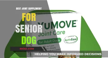 Revitalize Your Senior Dog’s Mobility: Discover the Best Joint Supplement for Aging Canines