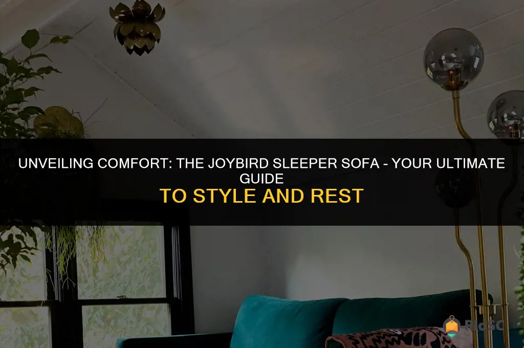 best joybird sleeper sofa