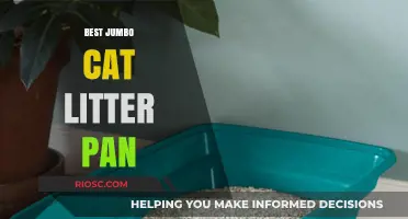 Ultimate Guide to Choosing the Best Jumbo Cat Litter Pan for Your Feline Friend