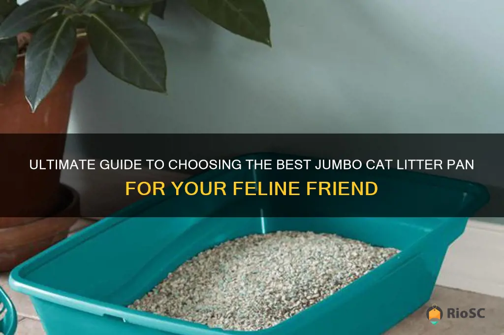 best jumbo cat litter pan