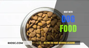 Top Keto-Friendly Dog Food Options for Optimal Canine Health