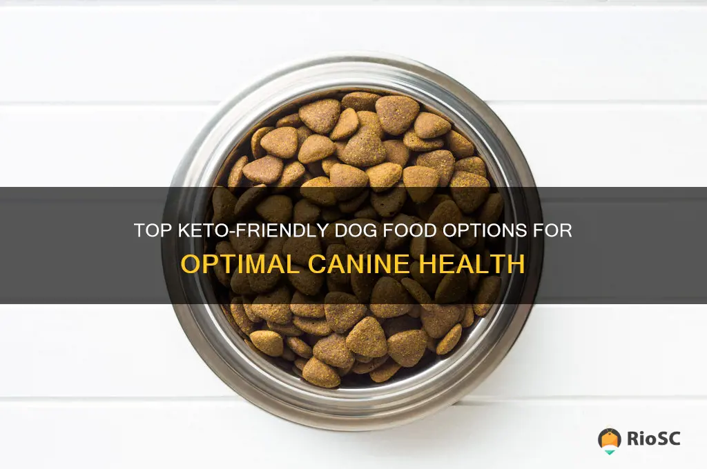 best keto dog food